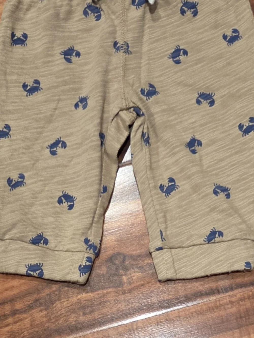 Gymboree nwt months